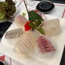 은성초장횟집 | 성주동맛집! 창원 애견동반식당 고급미 뿜뿜 성주동초밥 & 가성비 회 한상에 감동받고 옴