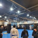 팀타이런트 유도 이미지