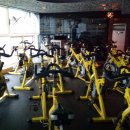 머슬휘트니스 이미지