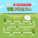 한성협동조합택시 | 영월 1박 2일 여행코스 | 뚜벅이의 영월 여행법( •̀ ω •́ )✧