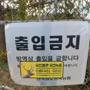 엘크사슴 이미지