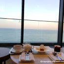 멜로비티 이미지