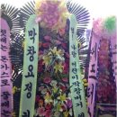 도니버거 이미지