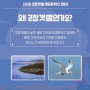고창체육관 | [2026 고창갯벌 버드왓처스 데이] 7.17~7.18ㅣ고창군립체육관 ㅣ철새 탐조 프로그램 체험 ㅣ 초등 체험...