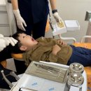 알파키즈치과의원 이미지