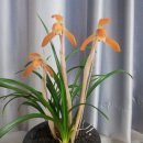 해남읍사무소 이미지