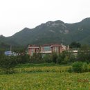 삽작거리
