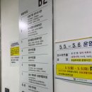 엄마까투리 뮤지컬 유치원도, 도시도 처음이야 성수아트홀 공연, 주차 후기