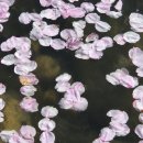 구천농장 이미지