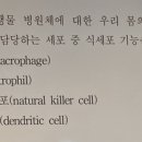 1차 방어기전 선천성 면역 이미지