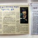 가모미모