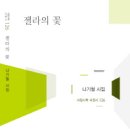 젤라 Daum카페