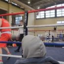 대상복싱체육관 이미지