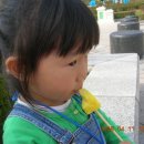 하서초병설유치원 이미지