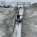 mud pack 이미지