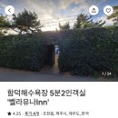 벨라유나