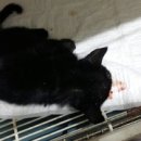 염리초교 이미지