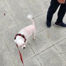 반야월태권도장 이미지