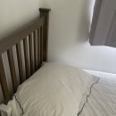 지율농장 | +1036, 제주도 여행 6일차 : 서귀포올레시장, 감귤박물관