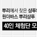 원더뷰티 이미지