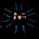 필라케미칼 이미지