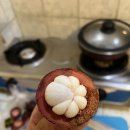 우드님프 이미지