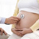 하나산전 이미지