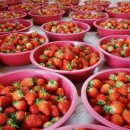 방축농장 이미지