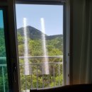 수목원풍경그린 이미지