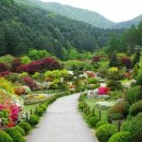 진해목장 이미지