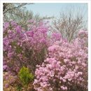 봄비공인중개사사무소 이미지