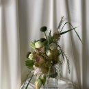 딜리제 | 딜리제 스튜디오 촬영 후기.