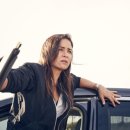 도그앤스토리 이미지