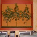 아이넷 PC방 이미지