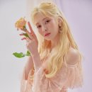 예빈플라워