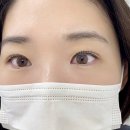 디벨르뷰티