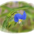 기계봉좌마을 이미지