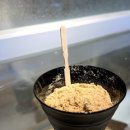 가마쿠라도산점