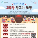영등포구 신길1동주민센터 이미지