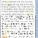 돌담동물의료센터 이미지