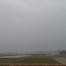 이안영농 이미지