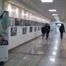 고양화전9 이미지