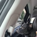 애플 텔 이미지