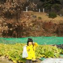 이화키즈어린이집 이미지