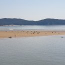 학암포자동차야영장 이미지