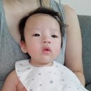 2019-주108 이미지