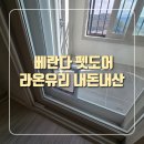 [후기] 대구 경북 베란다펫도어, 라온유리 내돈내산