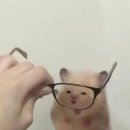 미도모텔 | 뮤지컬 <어쩌면 해피엔딩> 관람 후기