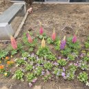 식물원주유소 이미지