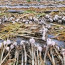 남해읍 공설주차장 이미지